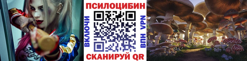 Галлюциногенные грибы Magic Shrooms Павлово